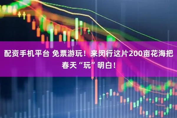 配资手机平台 免票游玩！来闵行这片200亩花海把春天“玩”明白！