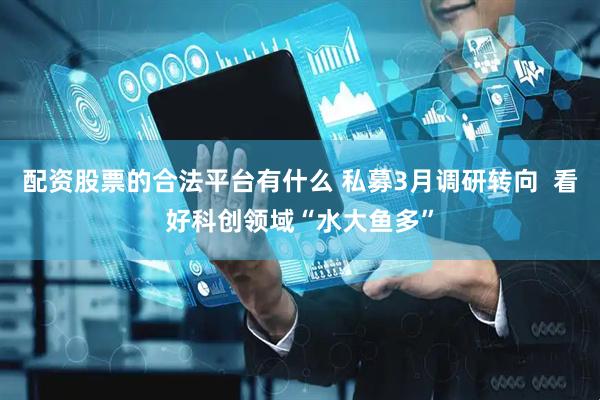 配资股票的合法平台有什么 私募3月调研转向  看好科创领域“水大鱼多”